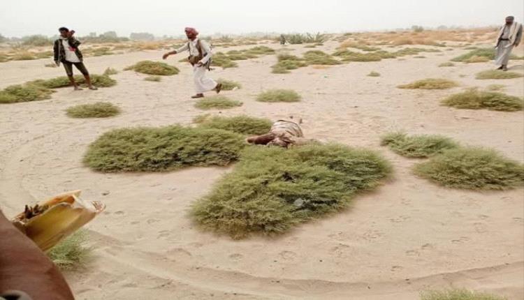 العثور على جثمان شاب مقتولًا من قِبل عصابة مجهولة في الجوف