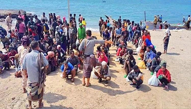 الأجهزة الأمنية  في شبوة تضبط 100 مهاجر خلال أقل من أسبوع
