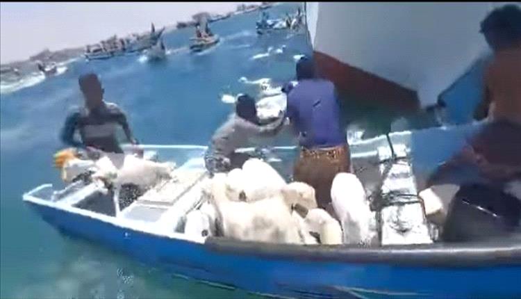 انقلاب سفينة قرب سواحل عدن محملة بأكثر من 2000 رأس غنم