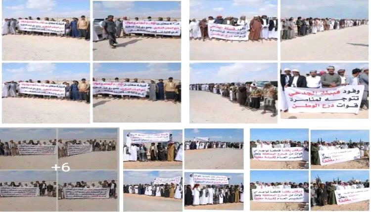 قبائل المهرة تجدد تمسكها بتمكين أبنائها وتعزيز الأمن والاستقرار