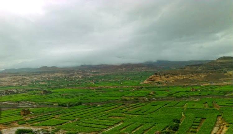 الجوبي يتوقع أمطارًا غزيرة في اليمن مع دخول الخريف الأحد المقبل