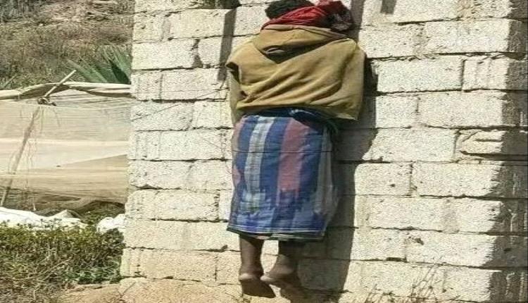 مقتل عامل بمزرعة قات في الضالع