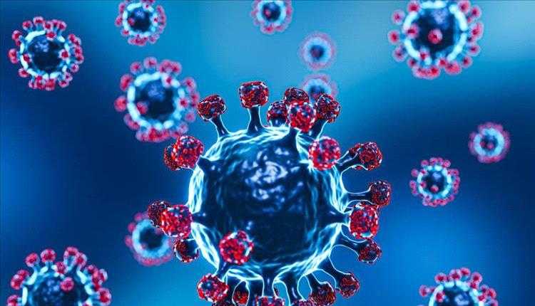 وباء قاتل يجتاح إثيوبيا وتحذيرات من خطر انتقاله إلى اليمن