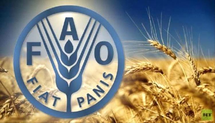 الإعلان عن خطة دولية لدعم 9.38 مليون شخص في اليمن حتى 2027