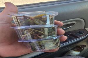 موجة غلاء جديدة.. القات يُباع بـ