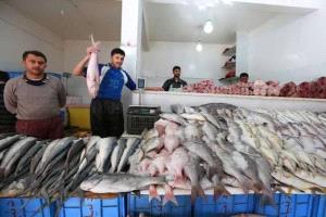 أهالي تعز يشكون ارتفاعاً غير مسبوق في أسعار الأسماك