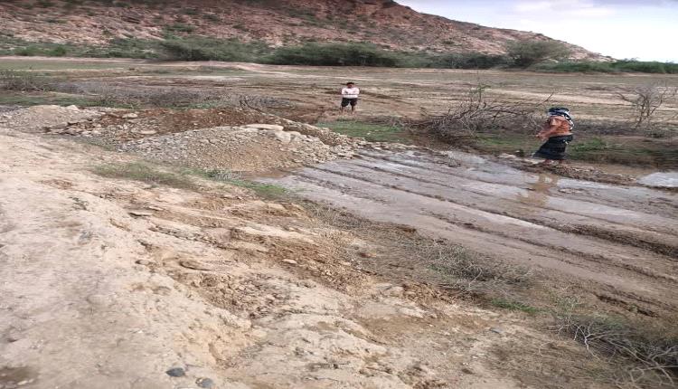 إصلاح طريق قرية أمنجدة بعد أضرار السيول بدعم من درع الوطن