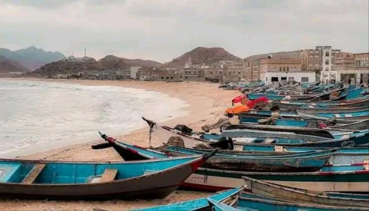 نجاح لافت لحملة مكافحة الكلاب الضالة في بروم ميفع خلال يومها الأول