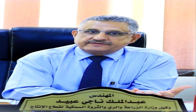 رئيس تحضيرية مهرجان العسل: الخميس موعد الانطلاق نحو حدث يليق بسمعة العسل اليمني