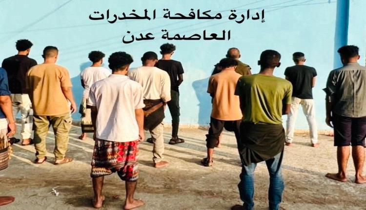 في سلسلة ضبطيات خلال اسبوع إدارة مكافحة المخدرات تطيح بعدد 12 متهم في 10 قضايا مخدرات مابين ترويج وتعاطي بالعاصمة عدن