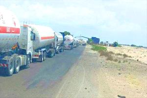 783 مقطورة تتجه إلى عدن والمحافظات المحررة