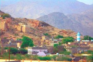 عاجل : إصابة مواطن برصاص طائش إثر اشتباك داخل سوق القات في مودية