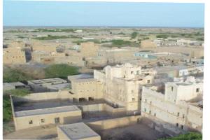 ركود يضرب سوقي النحل والمواشي في أحور