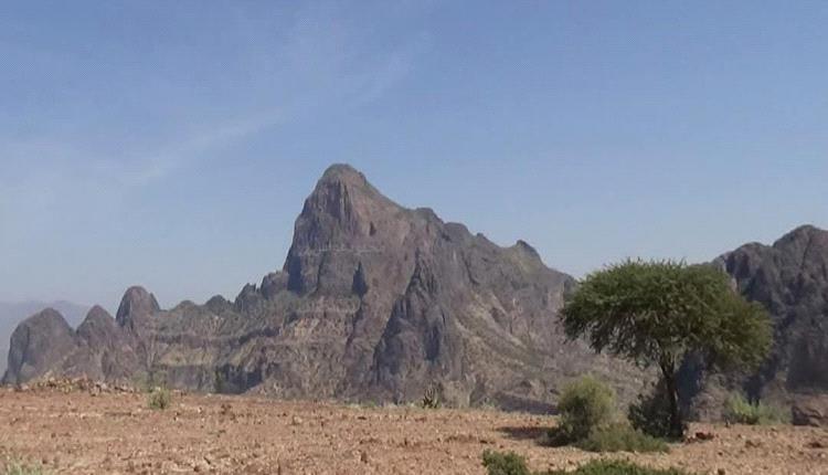فاجعة في الضالع..مصرع نجل شهيد إثر سقوطه من أعلى جبل أثناء رعي الأغنام بالضالع
​