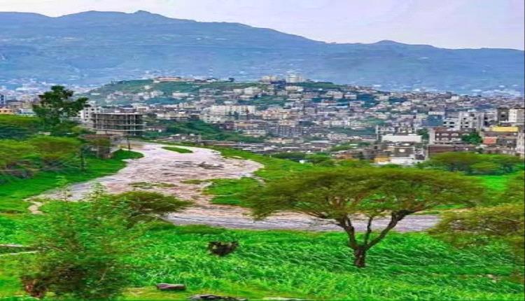 مقتل شابين برصاص مسلح في خليج سرت بإب إثر خلاف على "علاقي قات"
​