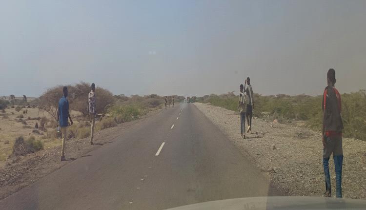 شكاوى شعبية في أبين من استمرار إنزال مهاجرين غير شرعيين على السواحل