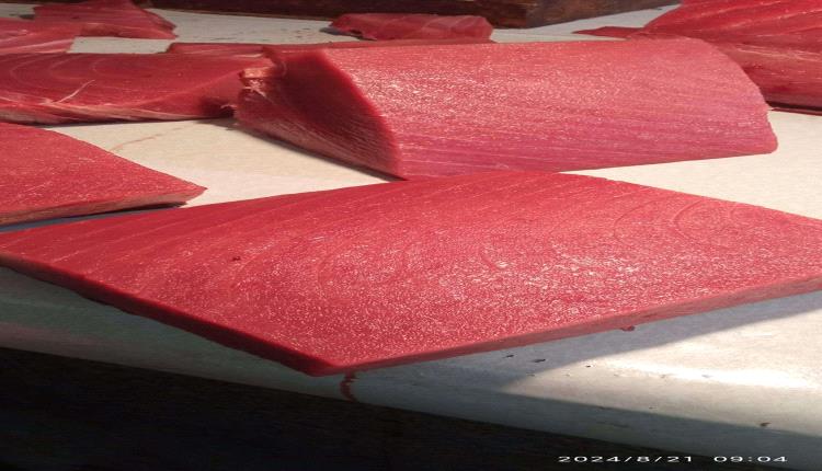 غلاء غير مسبوق للأسماك في عدن والكيلو يتخطى 15 ألف ريال