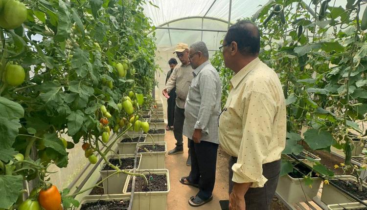 فريق فني ينفذ نزولاً ميدانياً للاطلاع على البيوت المحمية للزراعة المائية في تعز