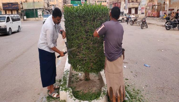 فريق التشجير بوحدة النظافة والتحسين بمديرية القطن ينفذ أعمال تقليم الأشجار في الشارع الرئيسي