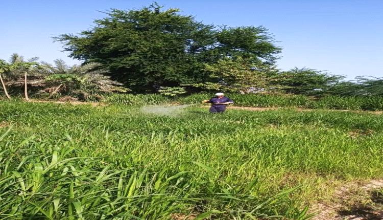 حملة رش لمكافحة الآفات الزراعية في الغيضة