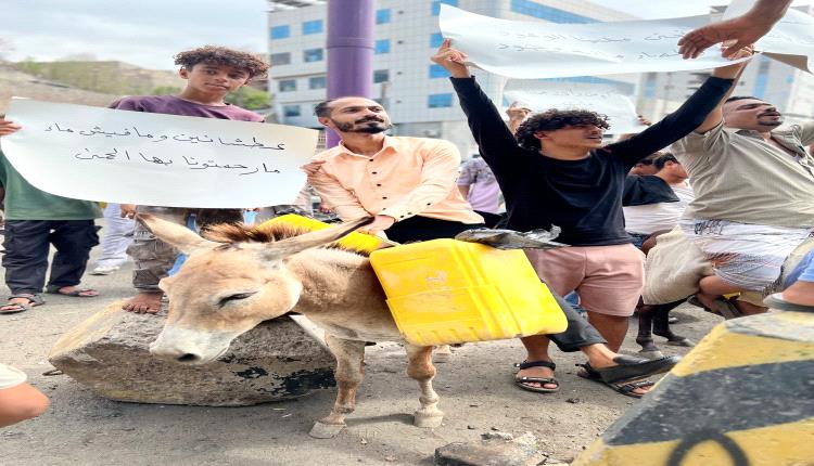 العشرات من أبناء شعب العيدروس ينفذون وقفة احتجاجية للمطالبة بتحسين خدمة المياه في كريتر