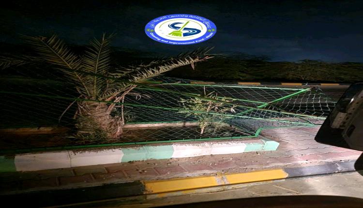 أعمال تخريبة التي طالت حمايات الأشجار في أبين