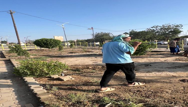 لحج تطلق حملة تشجير واسعة لتحسين المظهر الحضاري بالخطوط العامة
