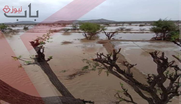 أمطار غزيرة تتسبب بسيول جارفة في لودر وتغرق المناطق المجاورة