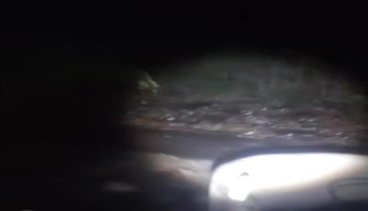 عاجل: سيول عارمة تزحف نحو لحج وعدن… إنذار عاجل لسكان مسارات الأودية