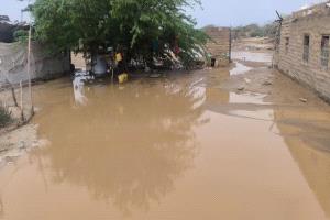 سيول مدمّرة تجتاح أحور وتُلحق خسائر فادحة بمناحل السكان ومنازلهم