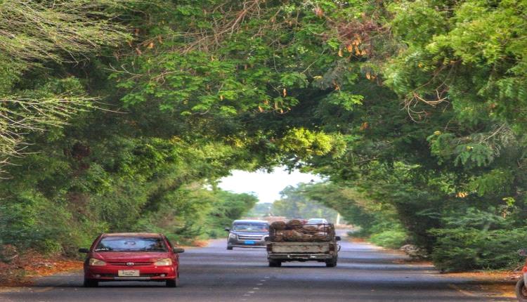 أبين.. هجوم بقنبلة واشتباكات عنيفة تهز محيط النيابة العامة بمدينة الكود