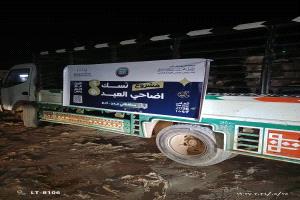 برعاية الفريق طارق صالح.. مبادرة الإعلامي صالح العبيدي توزع أضاحي العيد على ألف أسرة في عدن ولحج