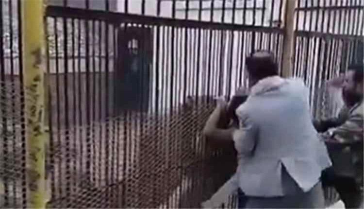 أسد يتسبب في بتر يد طفل داخل حديقة الحيوان بصنعاء
