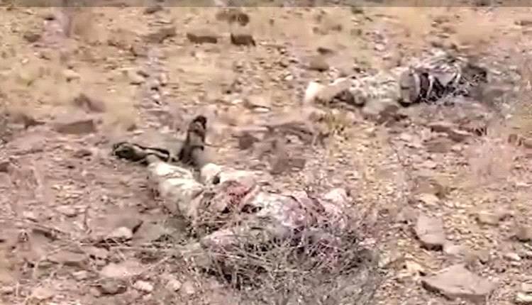 المقاومة الوطنية العثور على جثث لعناصر من "حركة الشباب" الصومالية بين قتلى مليشيات الحوثي بالساحل الغربي