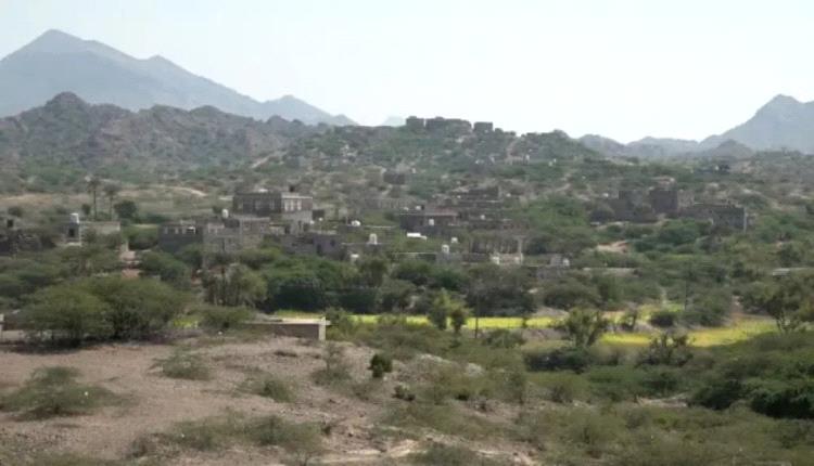 استشهاد امرأة وإصابة نجلها بقصف حوثي على خيمة نازح في الوازعية
