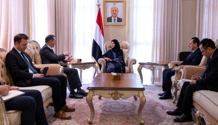 وزيرة الخارجية تبحث مع القائم بالأعمال التركي مستجدات الأوضاع وتعزيز التعاون الثنائي