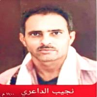 نجيب الداعري